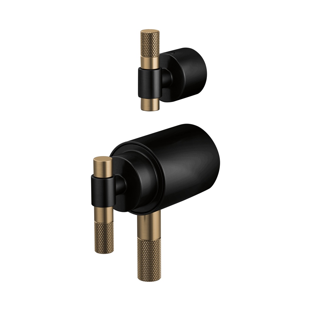 Brizo HL7533-BLGL Tempassure Thermostatic Valve With Diverter Trim T Handle Ki