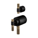Brizo HL7533-BLGL Tempassure Thermostatic Valve With Diverter Trim T Handle Ki