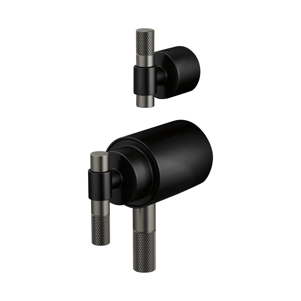 Brizo HL7533-BLSL Tempassure Thermostatic Valve With Diverter Trim T Handle Ki