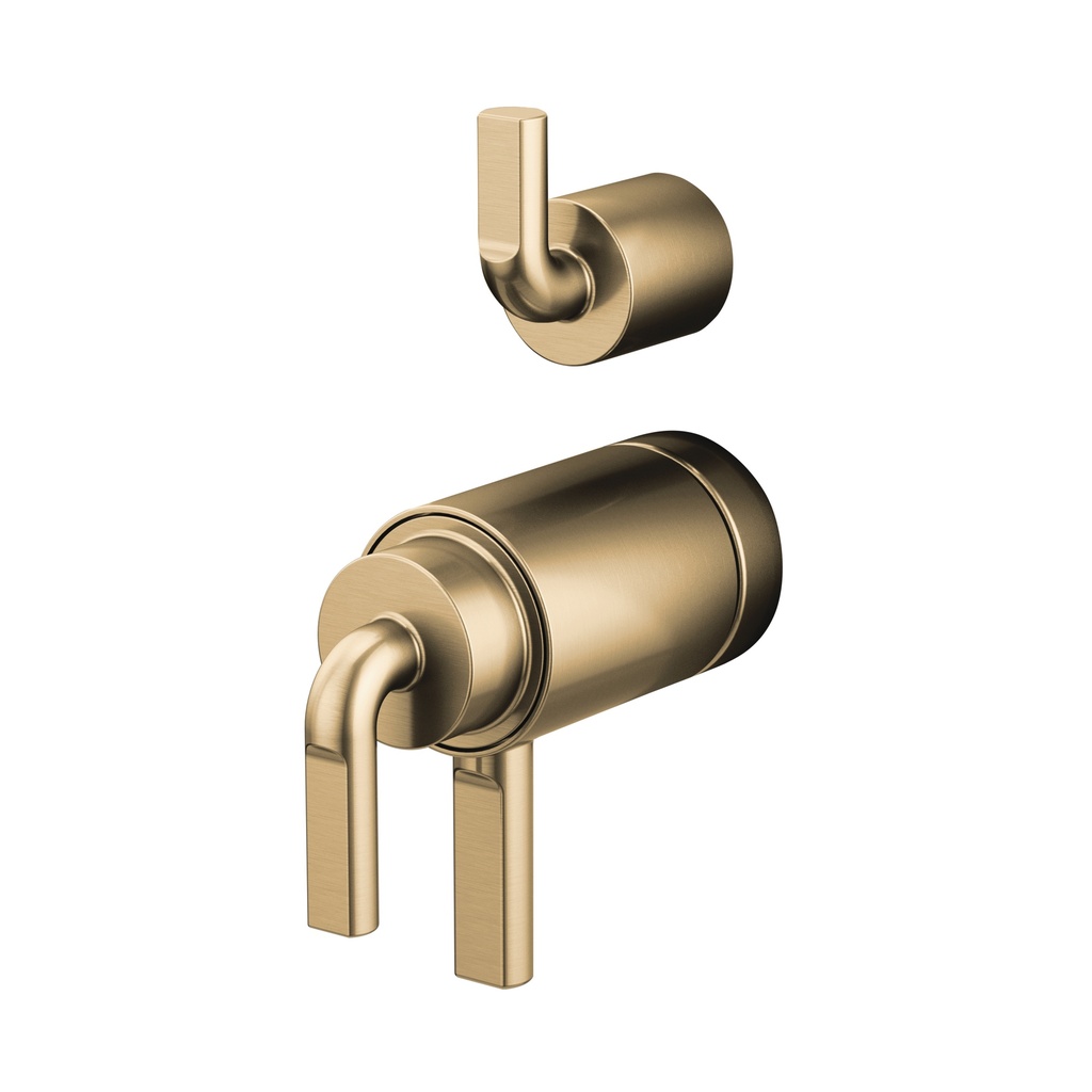 Brizo HL7539-GL 17T Int. Diverter Wire Handle