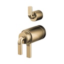 Brizo HL7539-GL 17T Int. Diverter Wire Handle