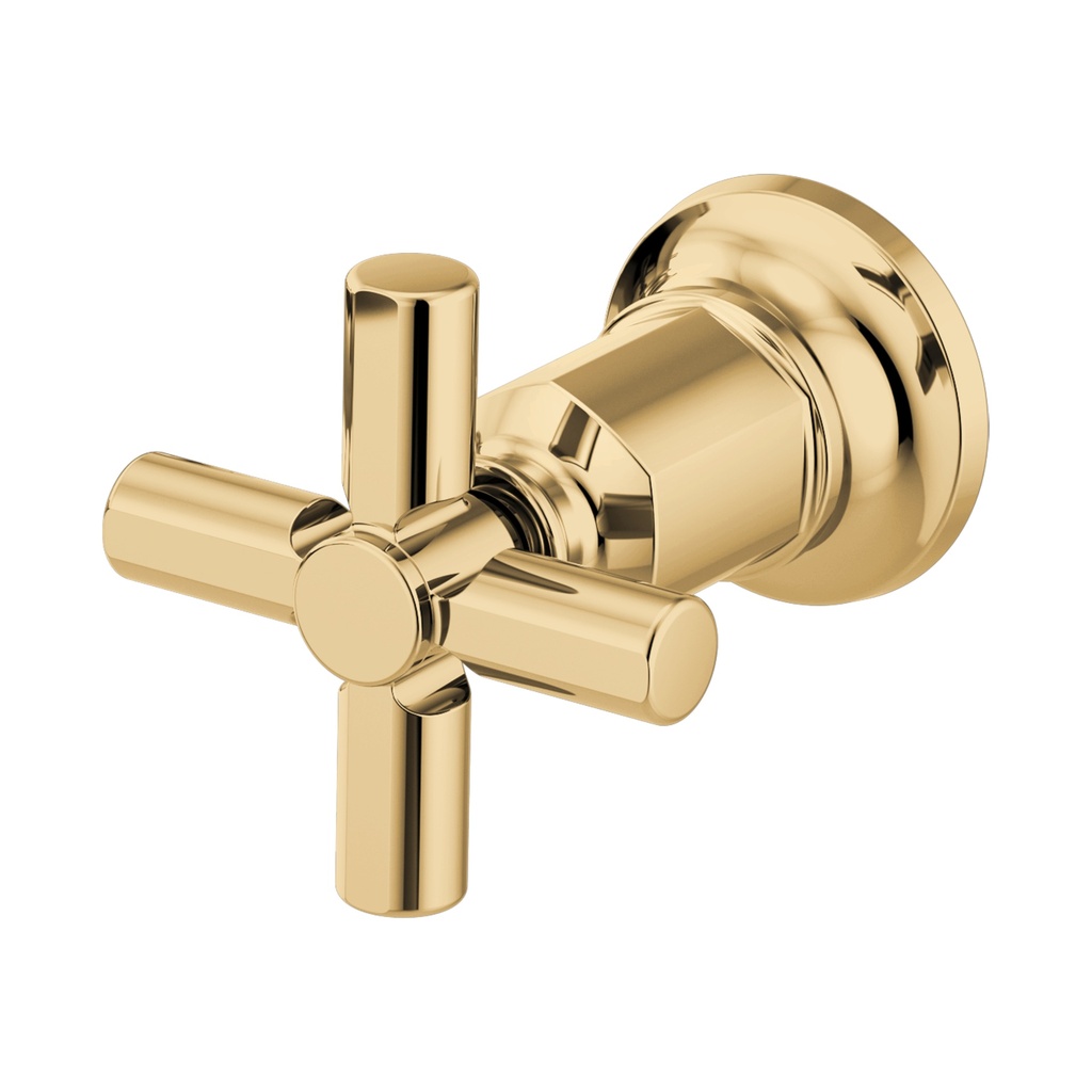 Brizo HX70476-PG Invari Wall Mount Handle Kit - Cross
