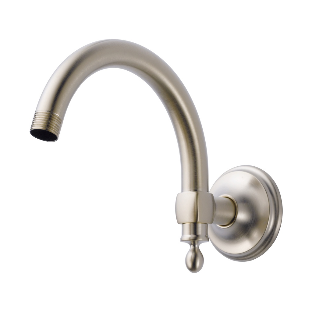 Brizo RP70909NK Universal Showering Shower Arm Assembly