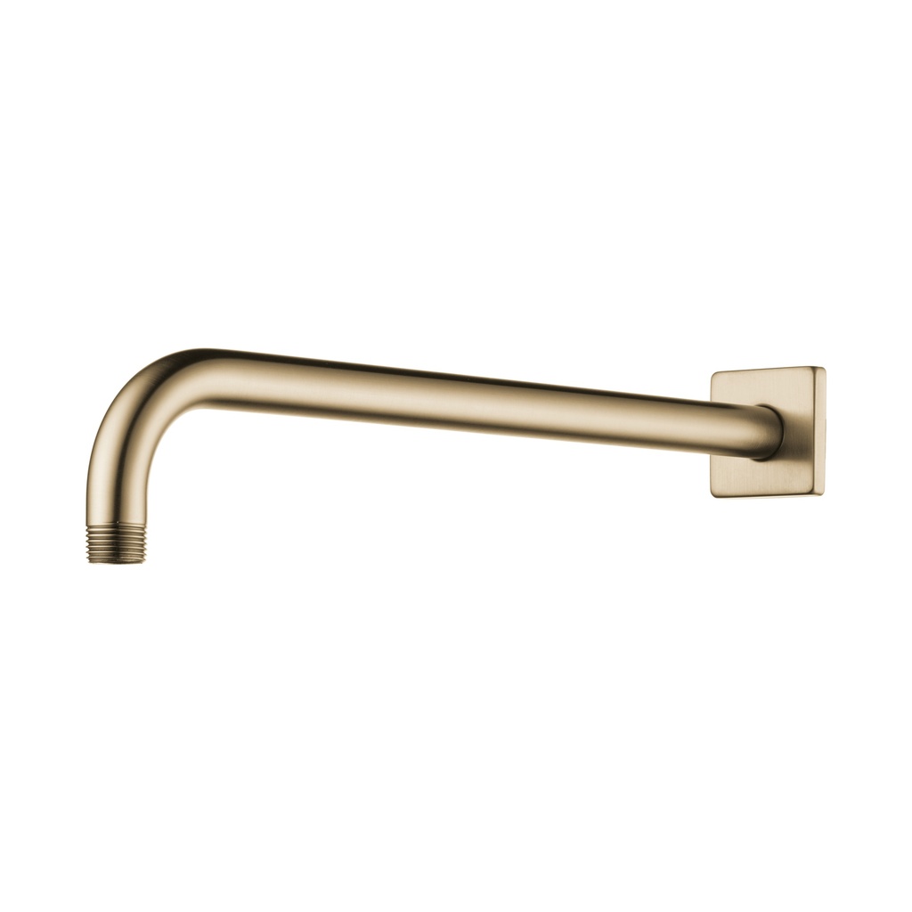 Brizo RP71650GL Universal Showering Shower Arm And Flange