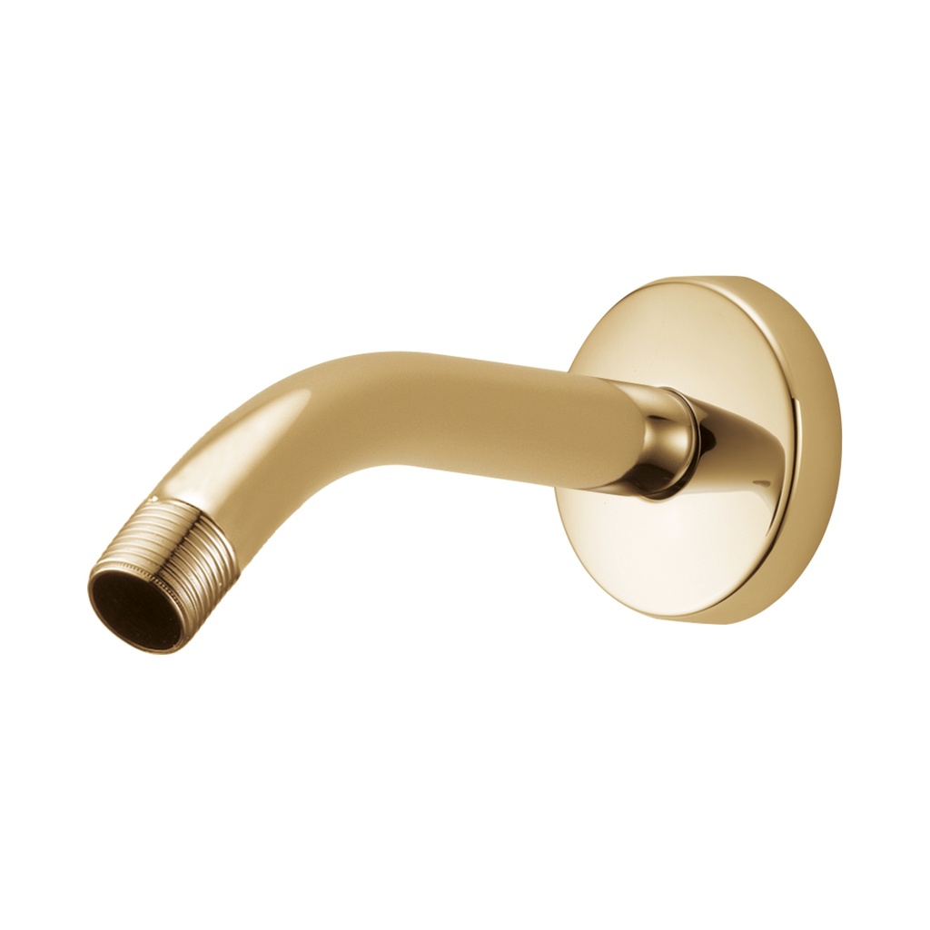 Brizo RP74751PG Shower Arm And Flange