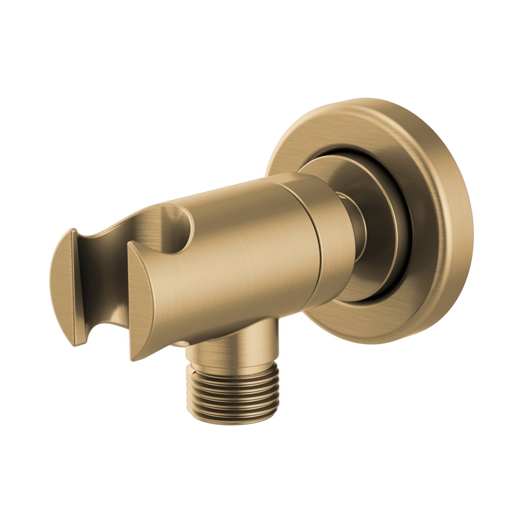 Brizo RP76775GL Sotria Wall Mount Nest And Outlet Luxe Gold