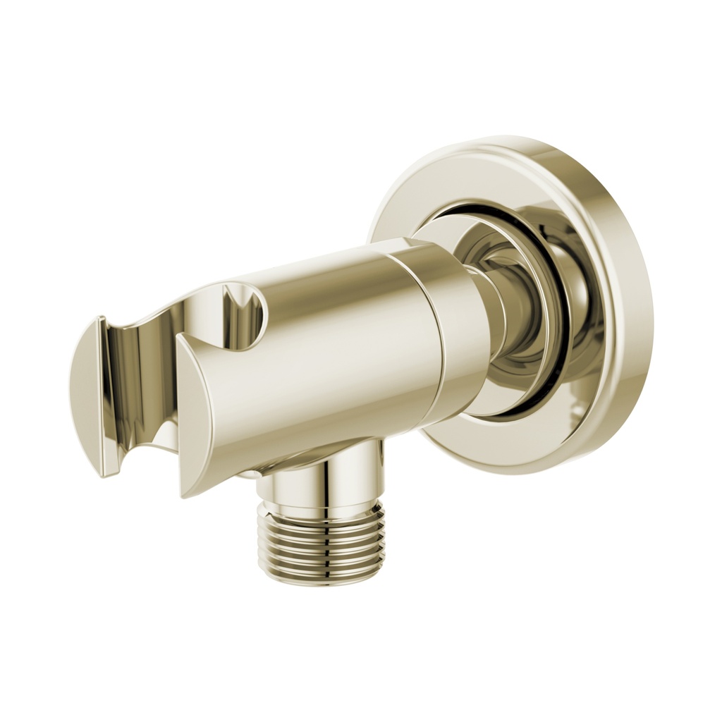 Brizo RP76775PN Sotria Wall Mount Nest And Outlet