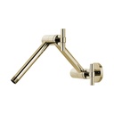 Brizo RP81434PN Litze Shower Arm And Flange