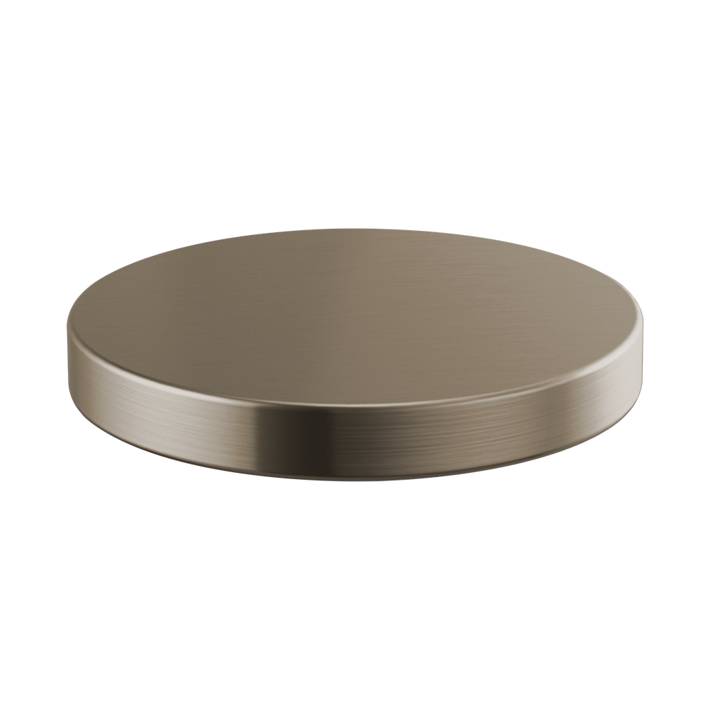 Brizo RP90934SS Litze Hole Cover