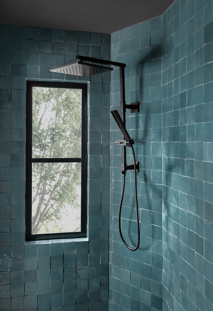 Brizo RP92007BN Vettis Hand Shower