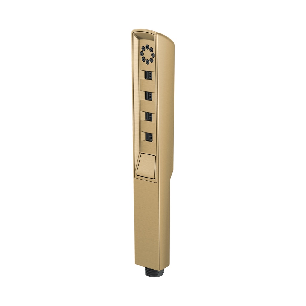 Brizo RP92007GL Vettis Hand Shower