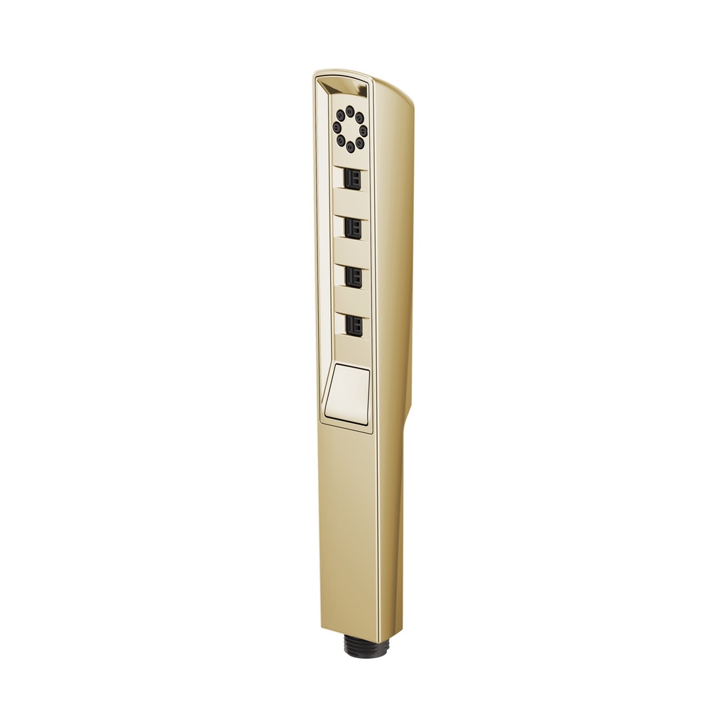 Brizo RP92007PG Vettis Hand Shower