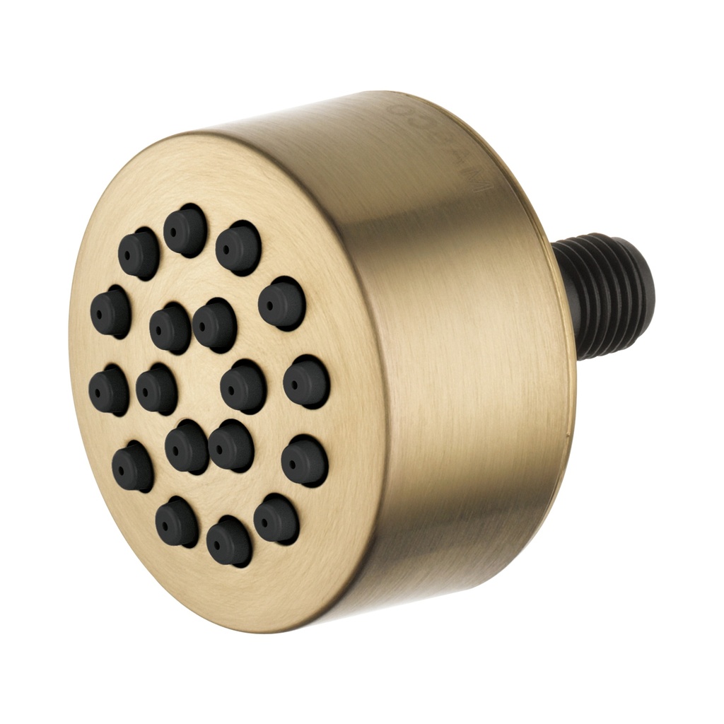 Brizo SH84103-GL Touch Clean Body Spray Sprayhead