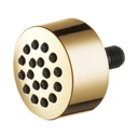 Brizo SH84103-PG Invari Touch Clean Body Spray Sprayhead