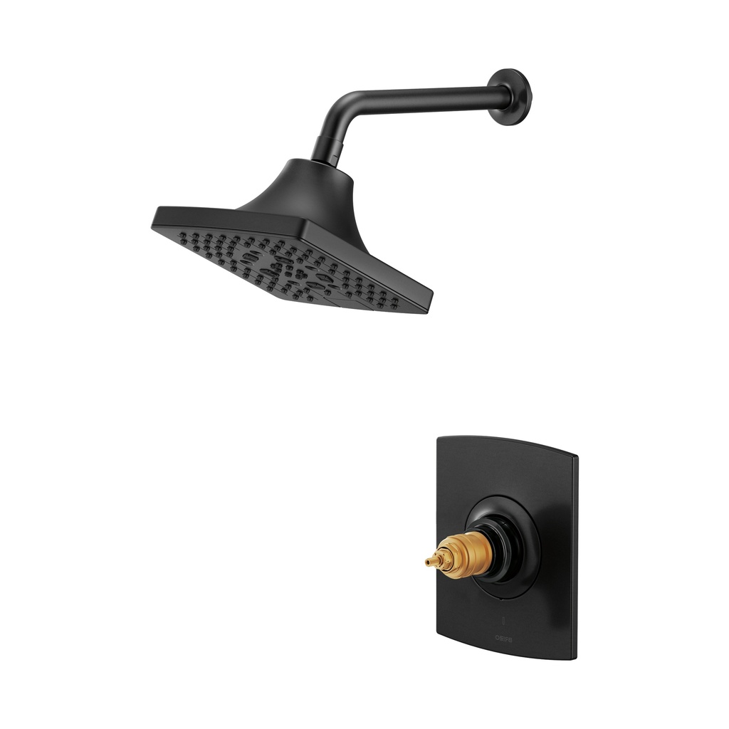 Brizo T60206-BLLHP Therm Shower Only Trim Less Handles