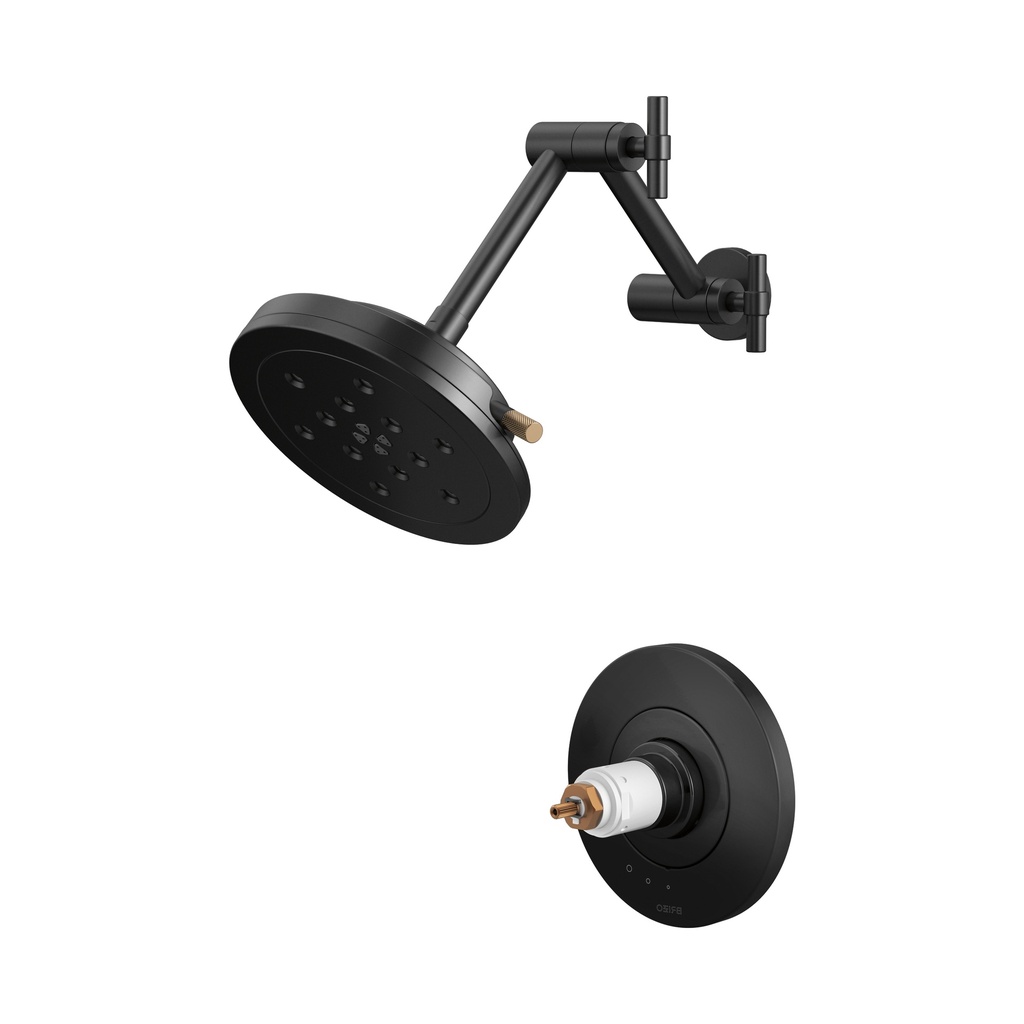 Brizo T60235-BLGLLHP Tempassure Thermostatic Shower Trim