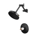 Brizo T60235-BLGLLHP Tempassure Thermostatic Shower Trim