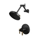 Brizo T60235-BLGLLHP Tempassure Thermostatic Shower Trim