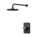 Brizo T60267-BLLHP Allaria Thermostatic Shower Only Trim