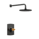 Brizo T60267-PCLHP Allaria Thermostatic Shower Only Trim