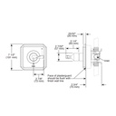 Brizo T60P030-GL Virage Pressure Balance Valve Only Trim