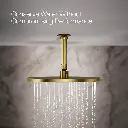 Kohler 13690-2MB Cvf Contemporary Round Rain Showerhead