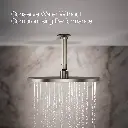 Kohler 13690-BN 12 Contemporary Round Rain Showerhead