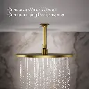 Kohler 13691-2MB 14 Contemporary Round Rain Showerhead