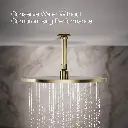 Kohler 13691-AF 14 Contemporary Round Rain Showerhead