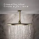 Kohler 13691-BV 14 Contemporary Round Rain Showerhead