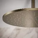 Kohler 13691-BV 14 Contemporary Round Rain Showerhead