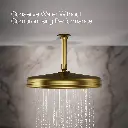 Kohler 13694-2MB 12 Traditional Round Rain Showerhead
