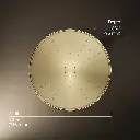 Kohler 13694-AF 12 Traditional Round Rain Showerhead