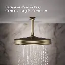 Kohler 13694-BV 12 Traditional Round Rain Showerhead