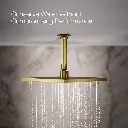 Kohler 13696-G-2MB 10 Contemporary Sq Rain Shwhd 1.75Gpm