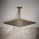 Kohler 13696-G-BV 10 Contemporary Sq Rain Shwhd,1.75Gpm