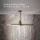 Kohler 13696-G-BV 10 Contemporary Sq Rain Shwhd,1.75Gpm