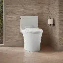 Kohler 1381-0 Veil 1-Pc Dual-Flush Toilet