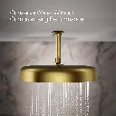 Kohler 26292-2MB Statement 1F 305Mm/12 Round Rainhead