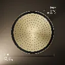 Kohler 26292-AF Statement 1F 14 Round Rainhead