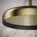 Kohler 26292-AF Statement 1F 14 Round Rainhead
