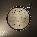 Kohler 26292-BV Statement 1F 14 Round Rainhead