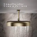 Kohler 26292-BV Statement 1F 14 Round Rainhead