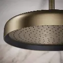 Kohler 26292-BV Statement 1F 14 Round Rainhead