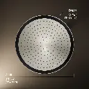 Kohler 26292-SN Statement 1F 14 Round Rainhead