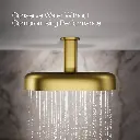 Kohler 26295-2MB Statement 2F 305Mm/12 Dpmsg Rainhead