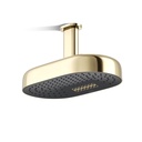 Kohler 26295-AF Statement 2F 14 Dpmsg Rainhead