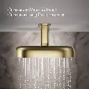 Kohler 26295-AF Statement 2F 14 Dpmsg Rainhead