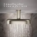 Kohler 26295-BN Statement 2F 305Mm/12 Dpmsg Rainhead