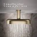 Kohler 26295-BV Statement 2F 14 Dpmsg Rainhead